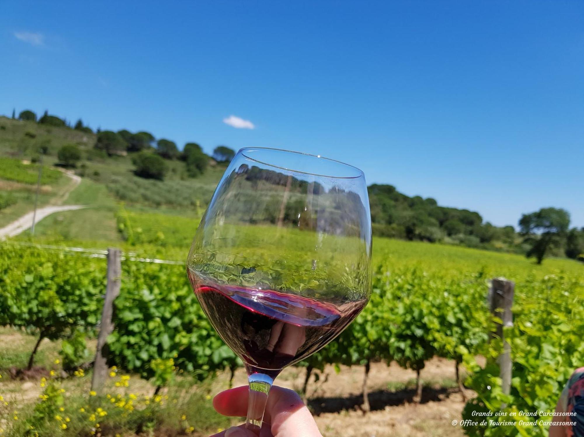 Chateau De Blomac Esterno foto
